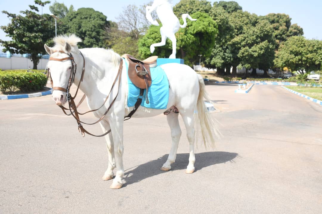 Nigerian Army holds full military funeral for late mascot horse, Akawala