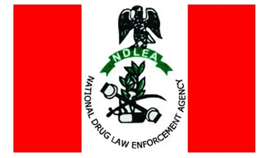 NDLEA seizes N815.8 million illicit drugs